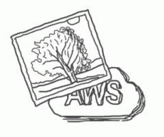 AWS upload article image 