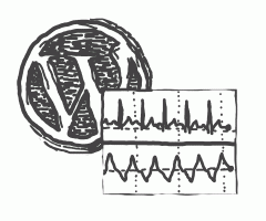 Wordpress performance article image