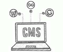 CMS image article image