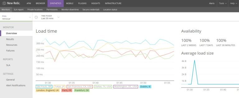  New Relic service 